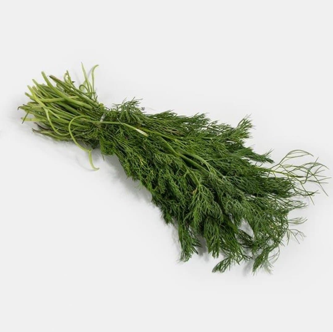 سبزی شوید