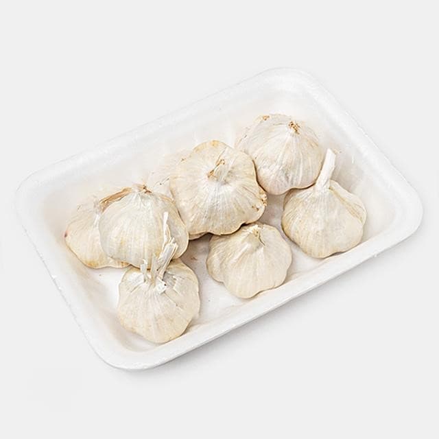 سیر خشک