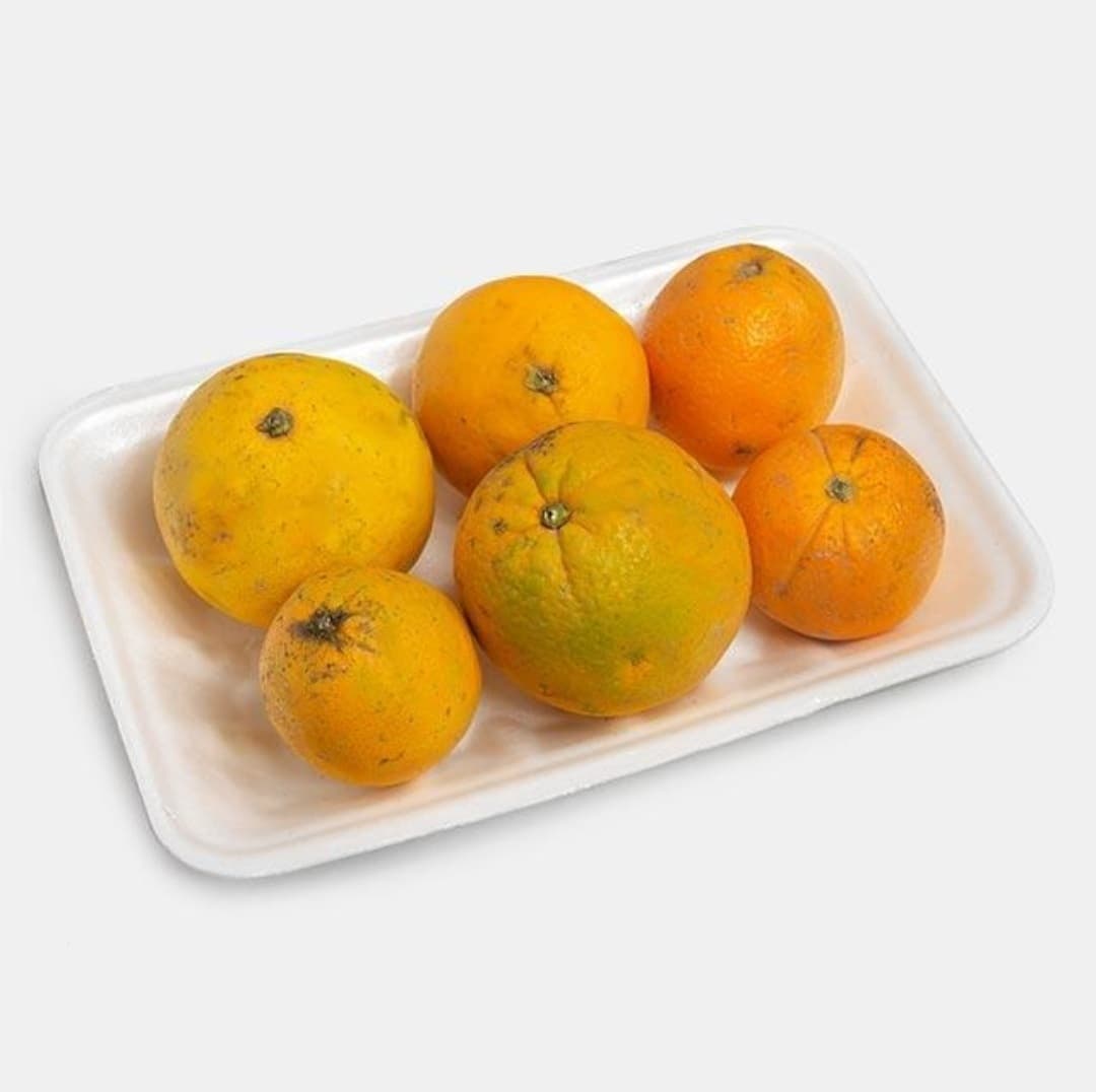 پرتقال آبگیری